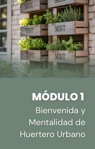 Tu mentalidad es importante para el éxito