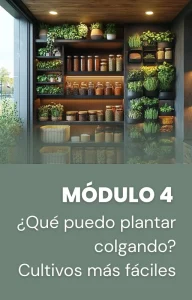 Descubre que especies se pueden plantar colgando