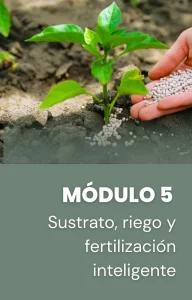 Es importante que cuides tu huerto