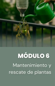 El mantenimiento es clave